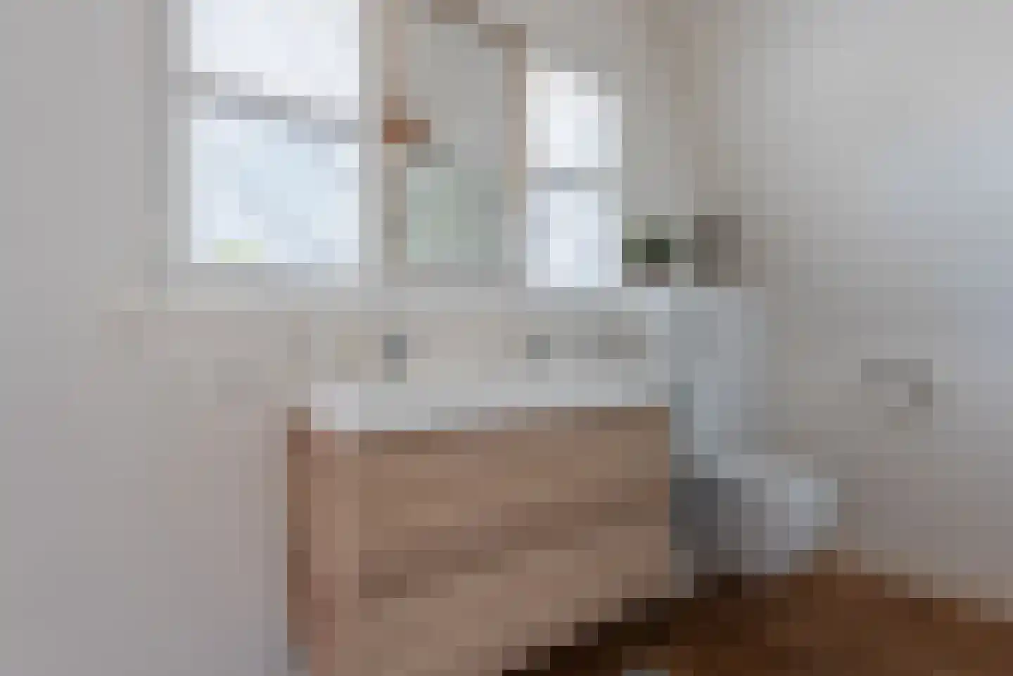 Lijmbeekstraat 107 Eindhoven thumbnail 45