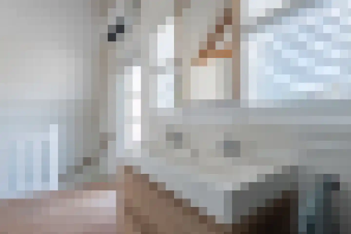 Lijmbeekstraat 107 Eindhoven thumbnail 46