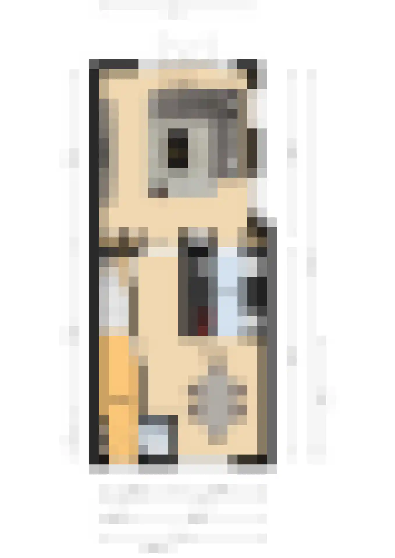 Lijmbeekstraat 107 Eindhoven thumbnail 58