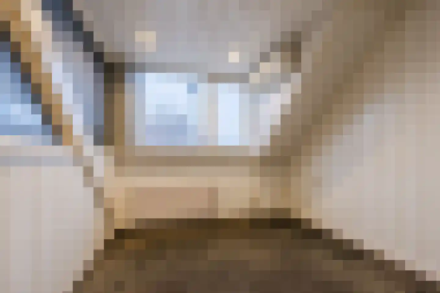 Lijmbeekstraat 146 Eindhoven thumbnail 18