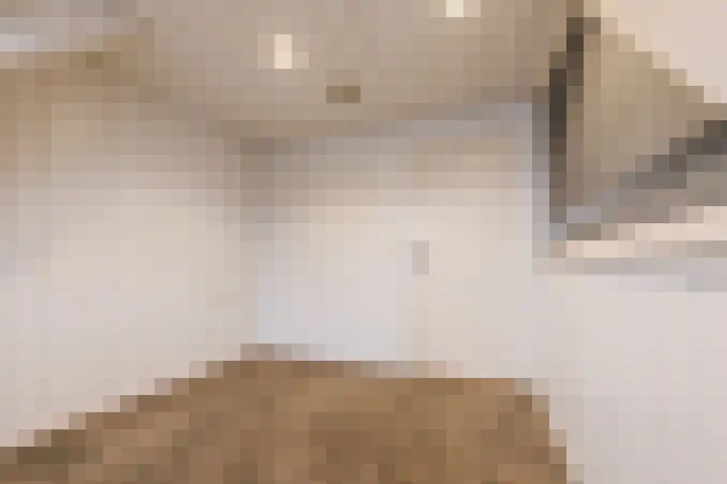 Lijmbeekstraat 146 Eindhoven thumbnail 20