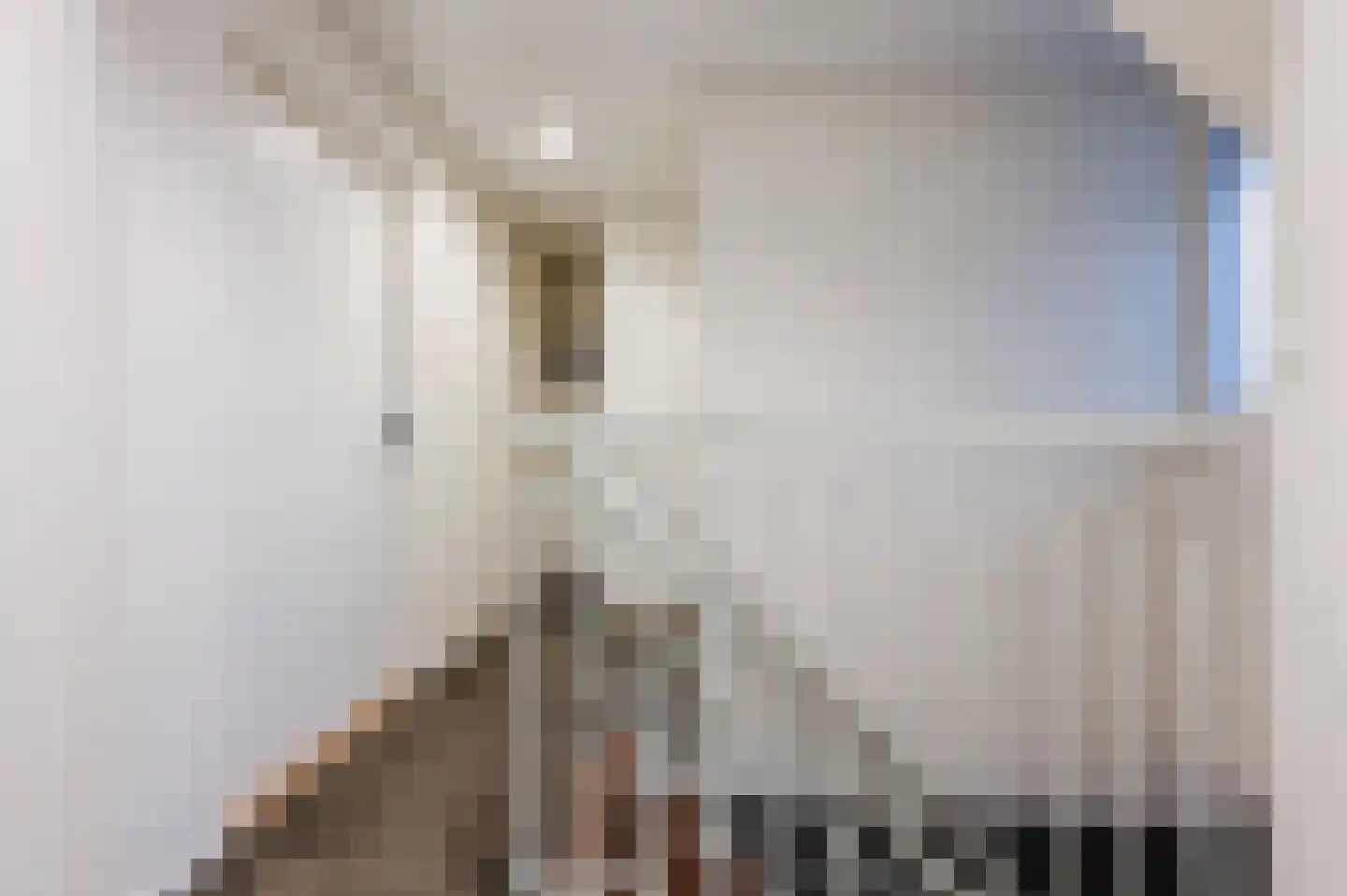 Lijmbeekstraat 146 Eindhoven thumbnail 23