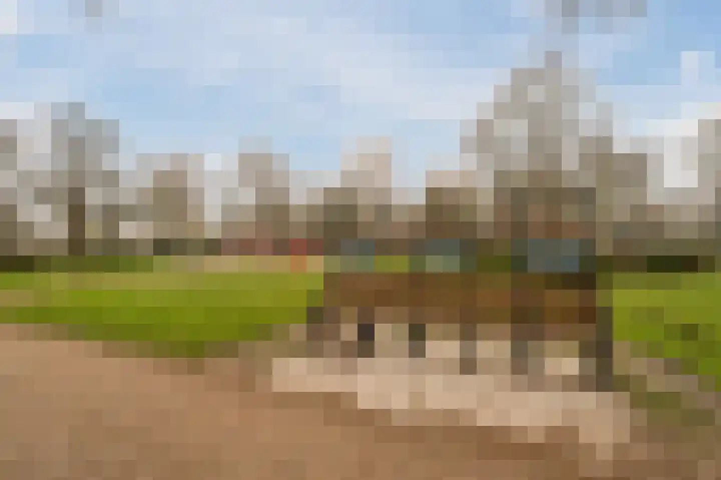 Lijmbeekstraat 146 Eindhoven thumbnail 25