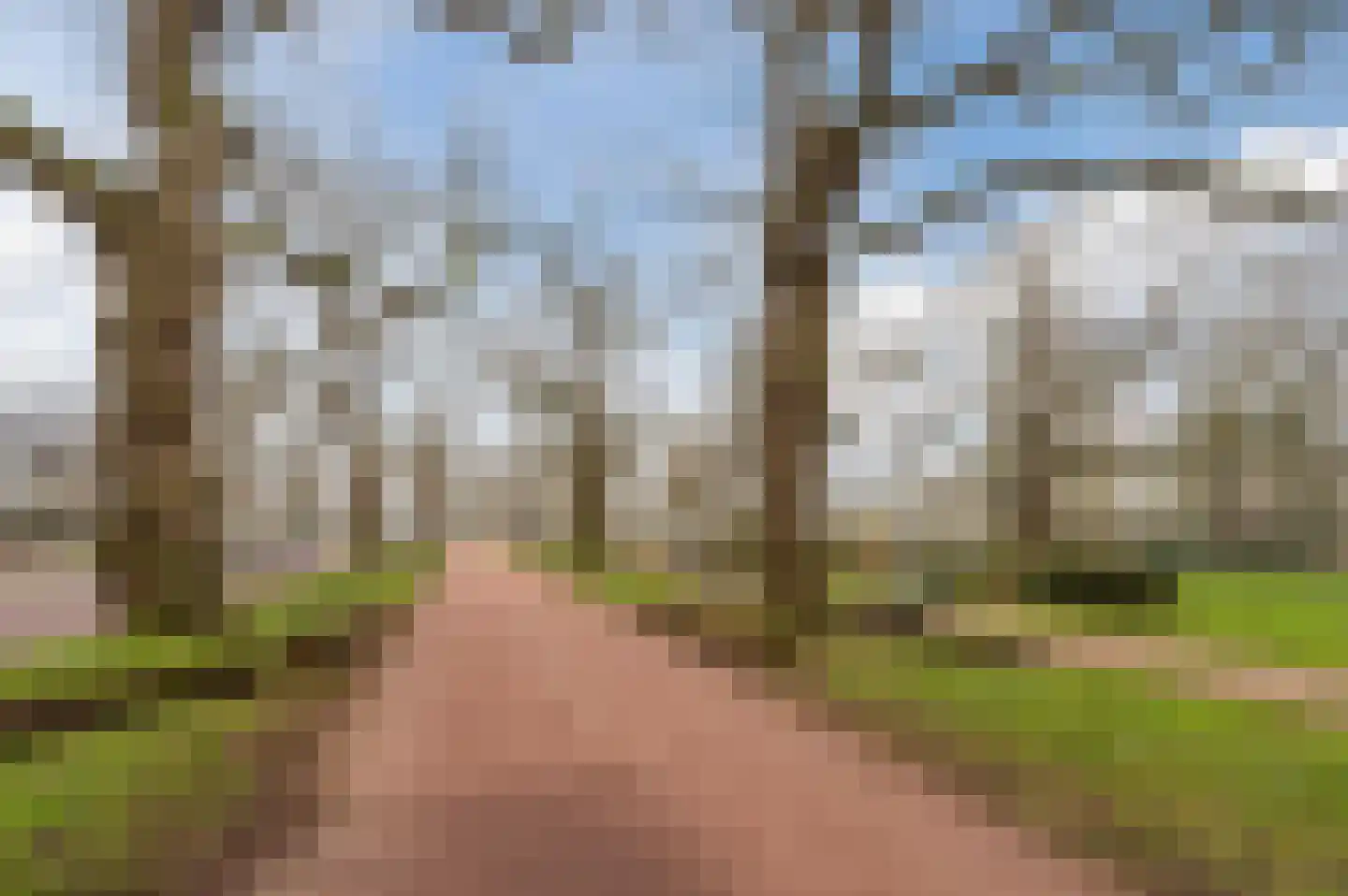Lijmbeekstraat 146 Eindhoven thumbnail 29