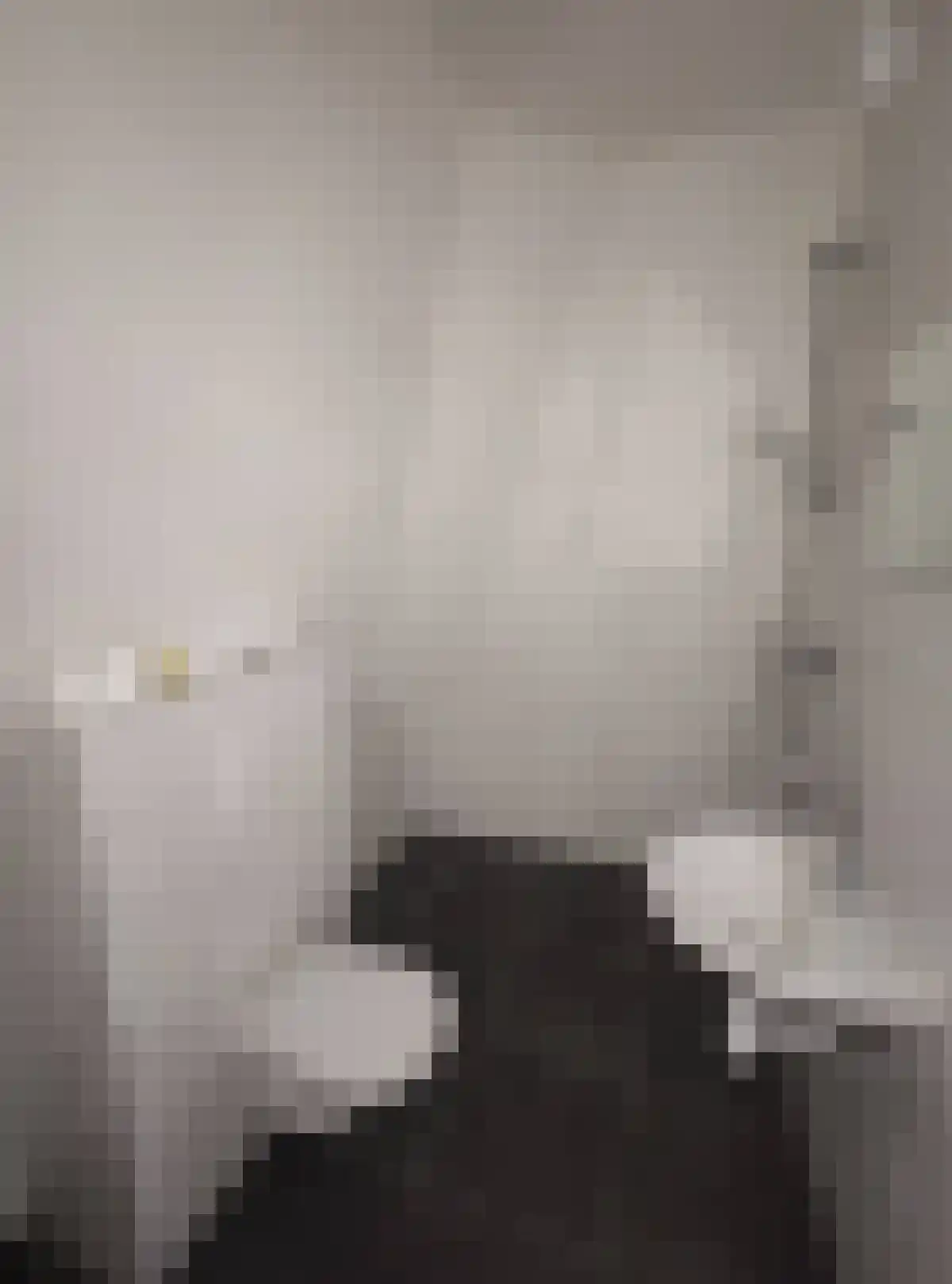 Lijmbeekstraat 201 Eindhoven thumbnail 6