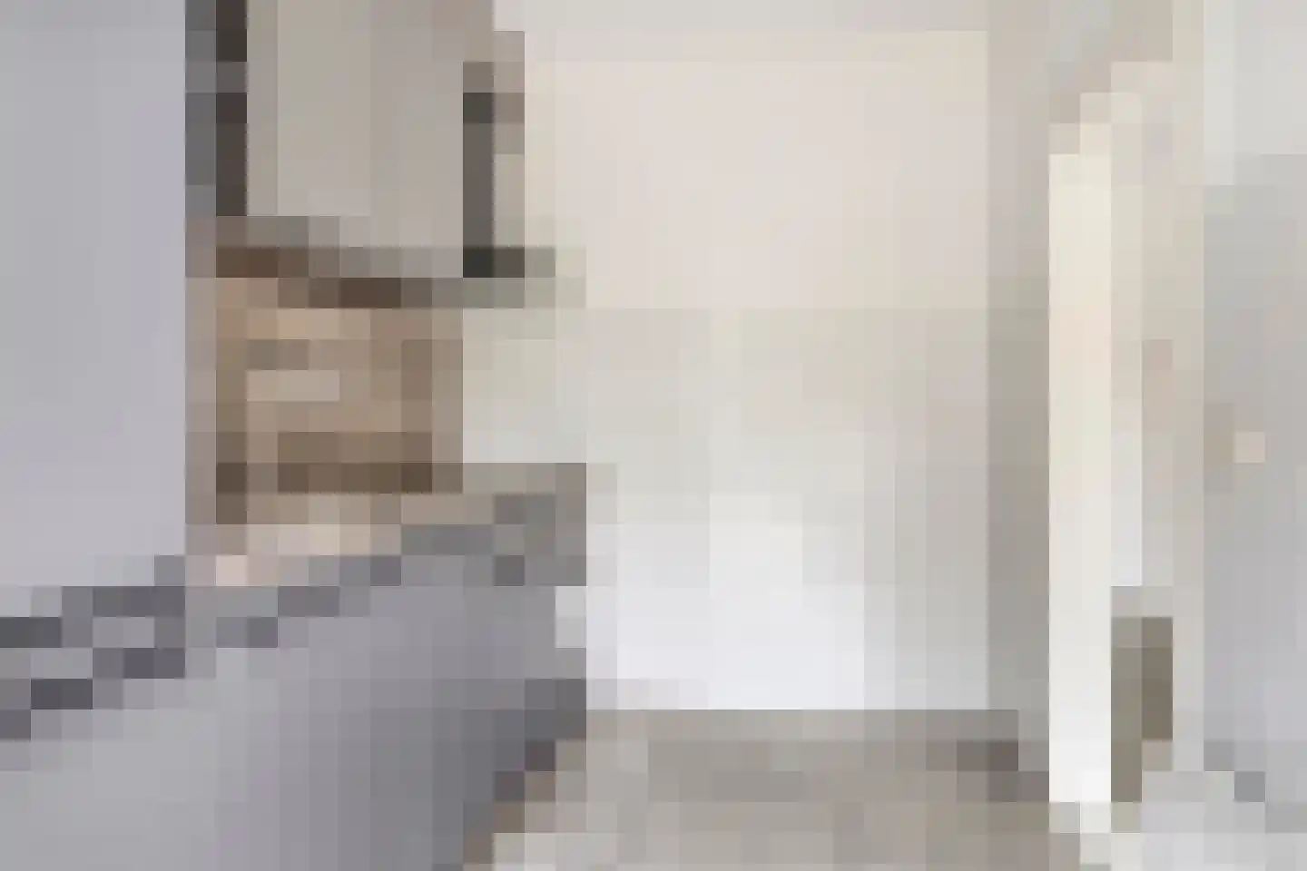 Lijmbeekstraat 222 Eindhoven thumbnail 11