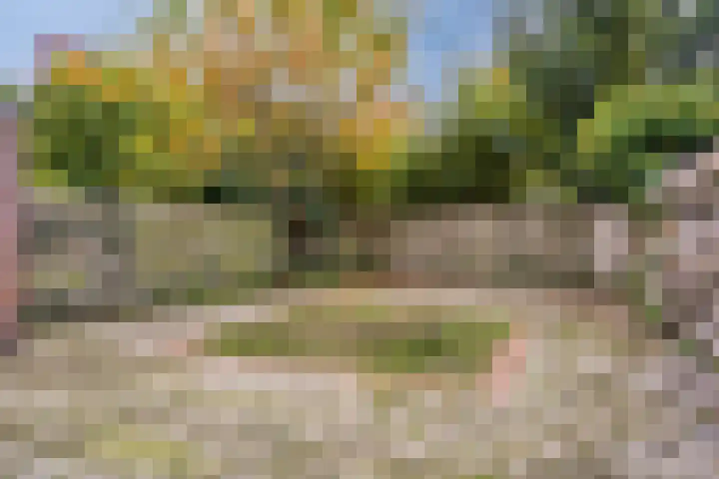 Lijmbeekstraat 222 Eindhoven thumbnail 29