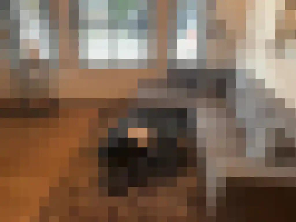 Lijmbeekstraat 223 Eindhoven thumbnail 4