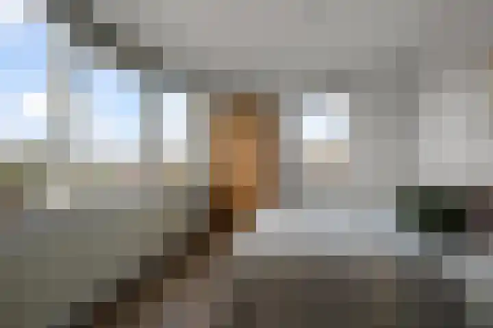 Lijmkoker 51 Wormer thumbnail 15