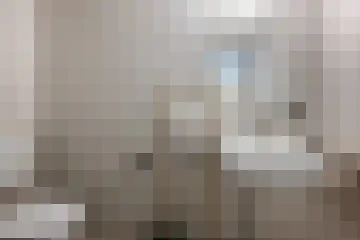 Lijmkoker 51 Wormer thumbnail 22