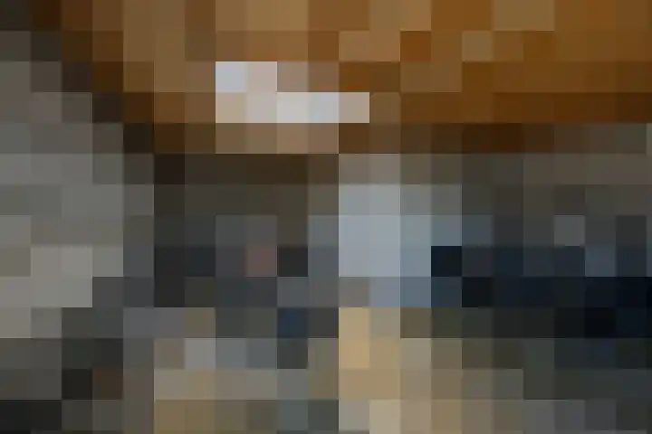 Lijmkoker 51 Wormer thumbnail 26