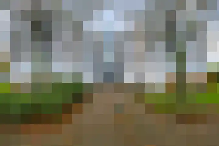 Lijmkoker 51 Wormer thumbnail 27