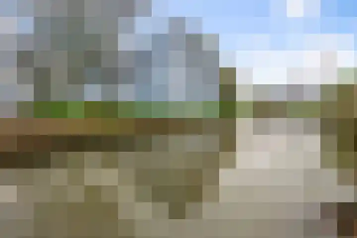 Lijmkoker 51 Wormer thumbnail 28