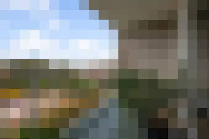 Lijmkoker 51 Wormer thumbnail 6