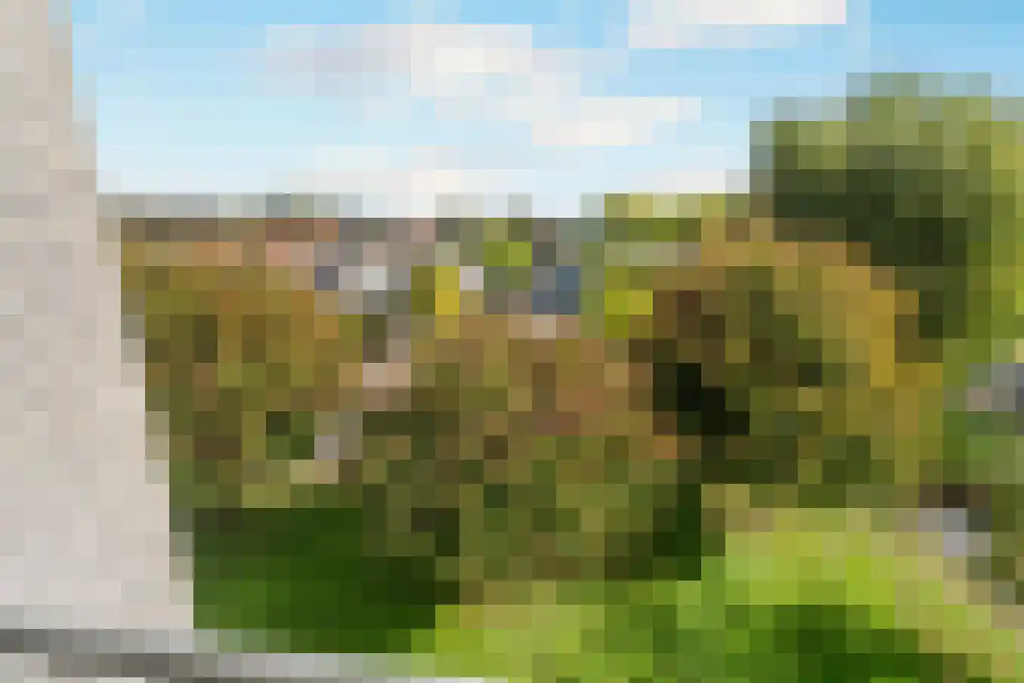 Lijmkoker 59 Wormer thumbnail 17