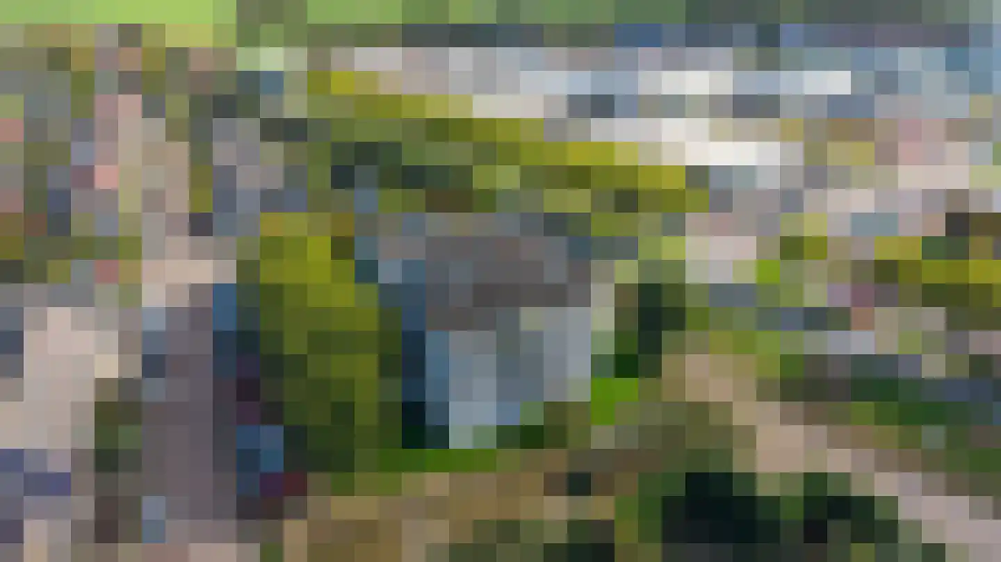 Lijmkoker 59 Wormer thumbnail 41