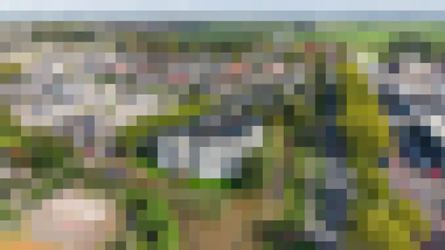 Lijmkoker 59 Wormer thumbnail 42