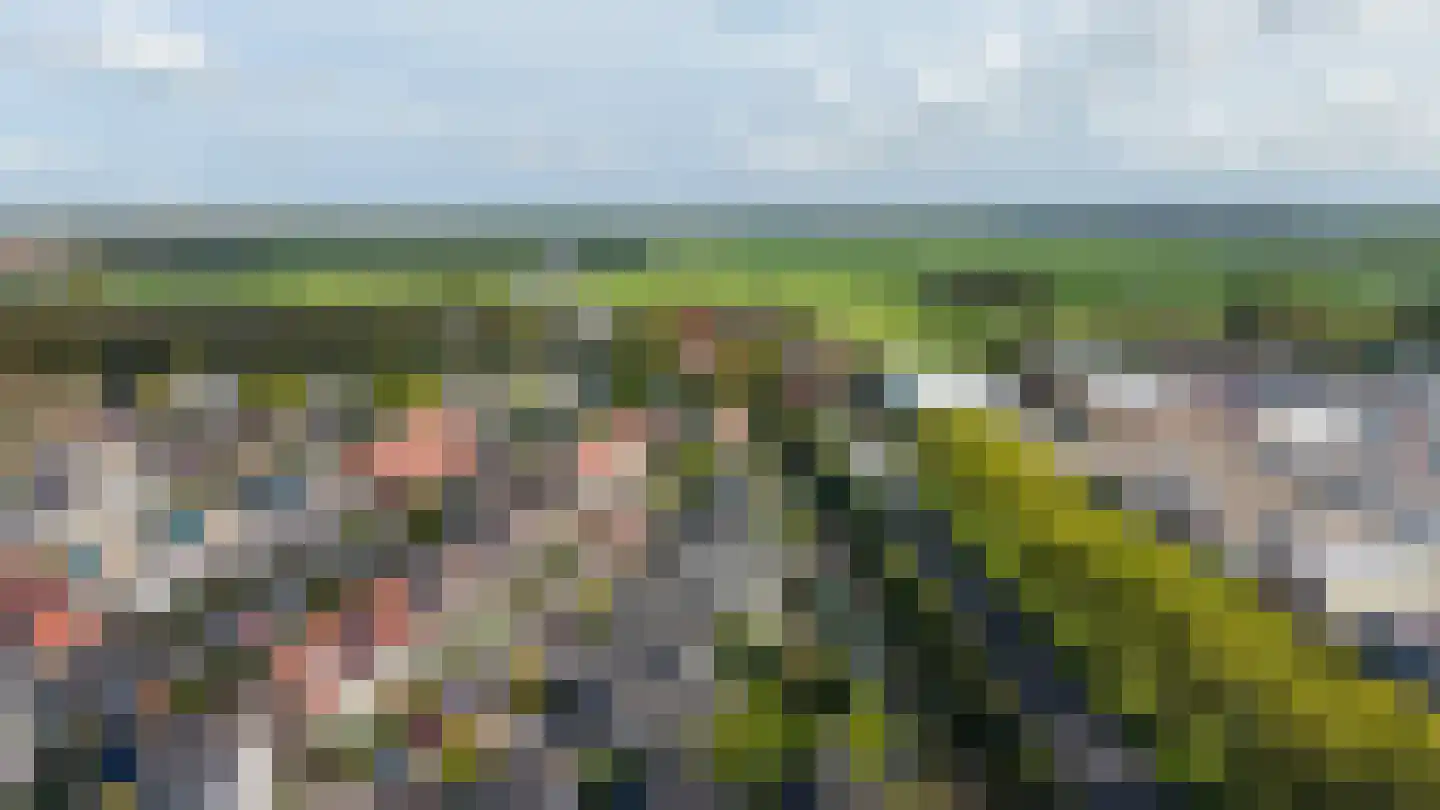 Lijmkoker 59 Wormer thumbnail 44