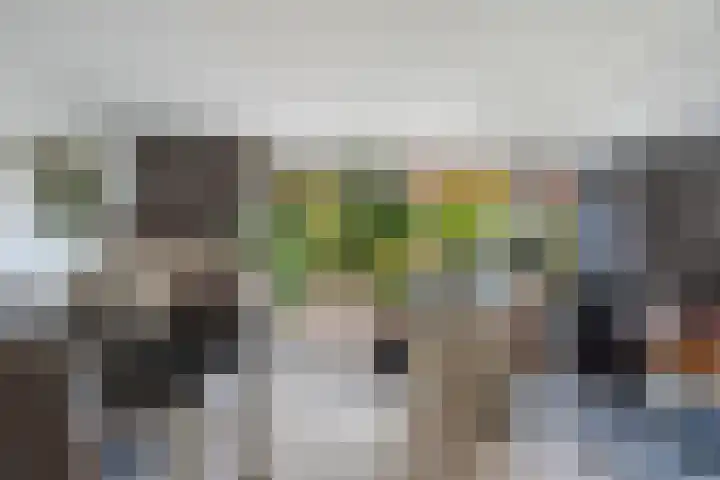 Lijn 20 Hoogvliet Rotterdam thumbnail 12