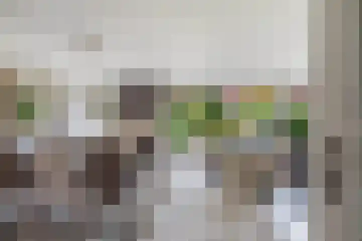 Lijn 20 Hoogvliet Rotterdam thumbnail 13