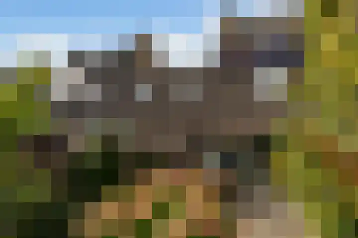 Lijn 20 Hoogvliet Rotterdam thumbnail 14
