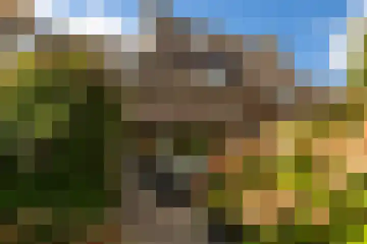 Lijn 20 Hoogvliet Rotterdam thumbnail 15