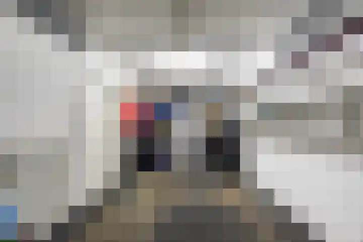 Lijn 20 Hoogvliet Rotterdam thumbnail 41