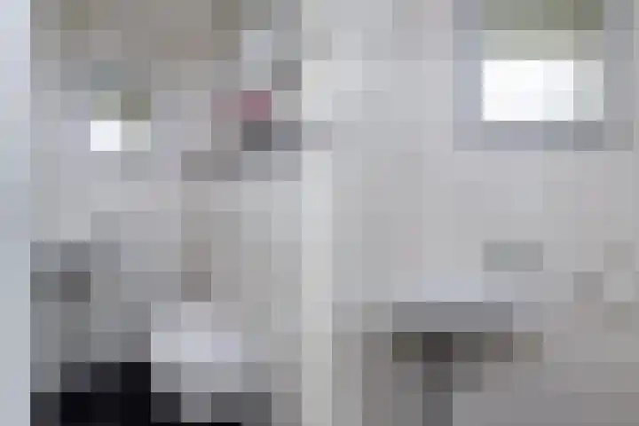 Lijn 20 Hoogvliet Rotterdam thumbnail 7