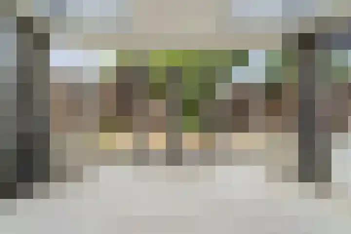 Lijn 23 Hoogvliet Rotterdam thumbnail 18