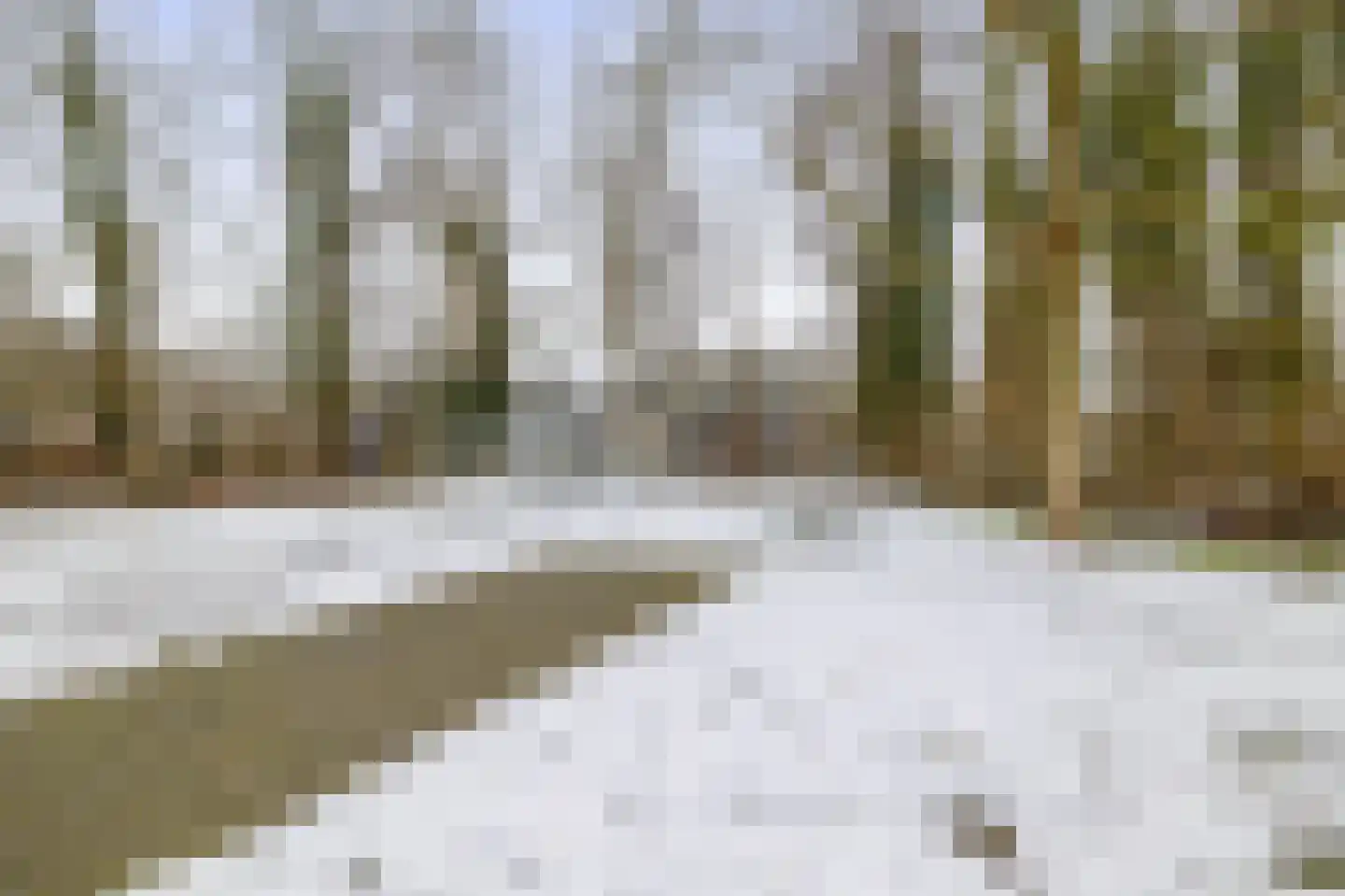 Lijnackerslaan 46 Onstwedde thumbnail 32