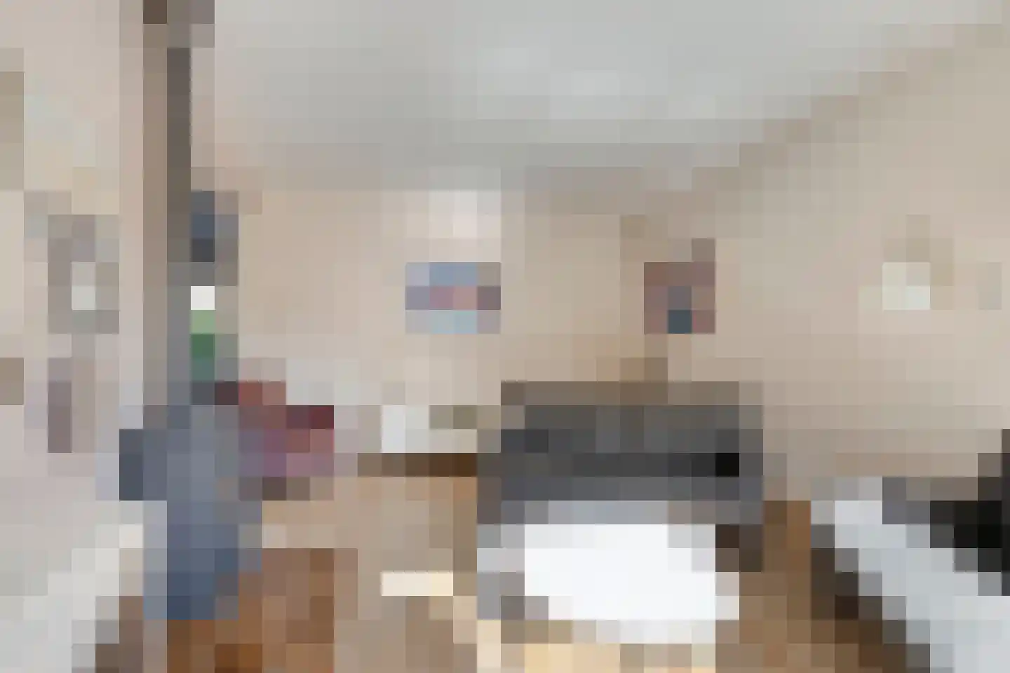 Lijnakker 34 Oosterwolde thumbnail 10