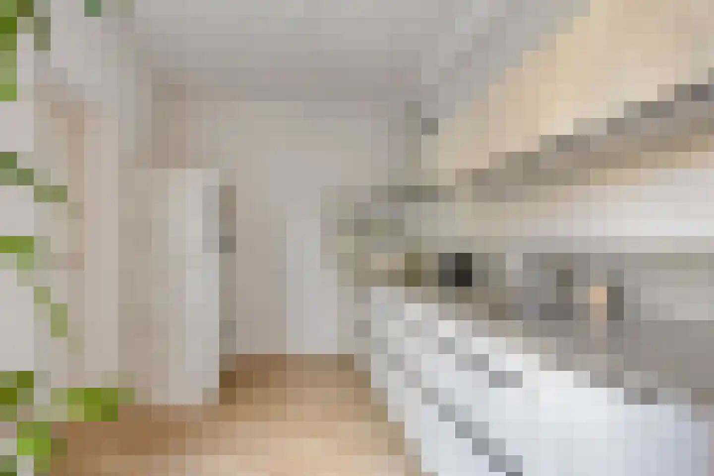 Lijnakker 34 Oosterwolde thumbnail 14