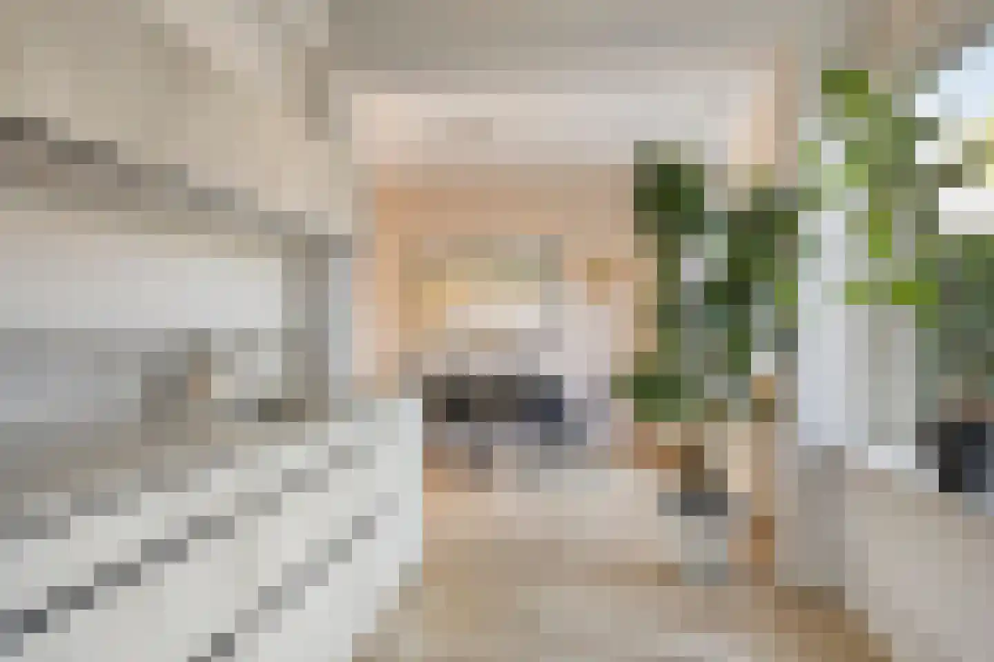 Lijnakker 34 Oosterwolde thumbnail 15