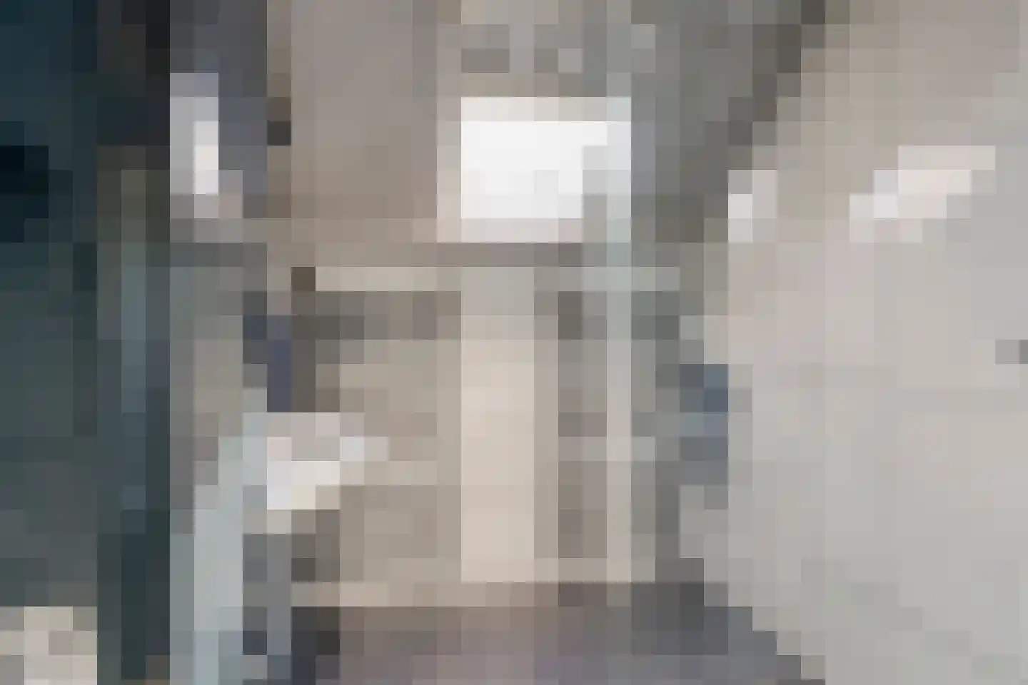 Lijnakker 34 Oosterwolde thumbnail 21