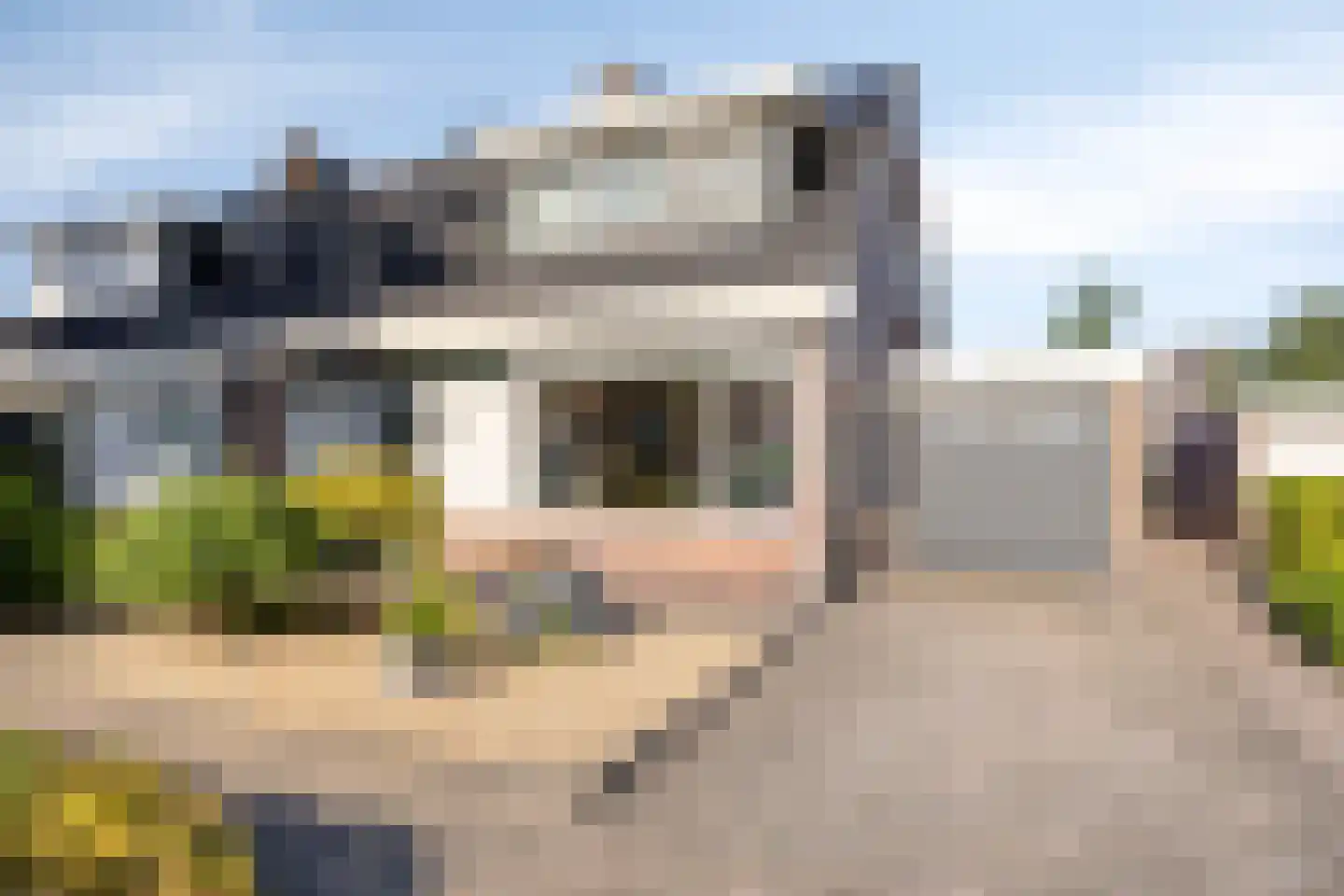 Lijnakker 34 Oosterwolde thumbnail 5