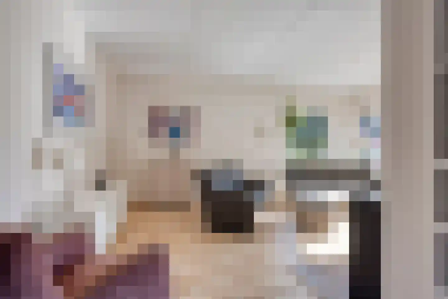 Lijnakker 34 Oosterwolde thumbnail 8