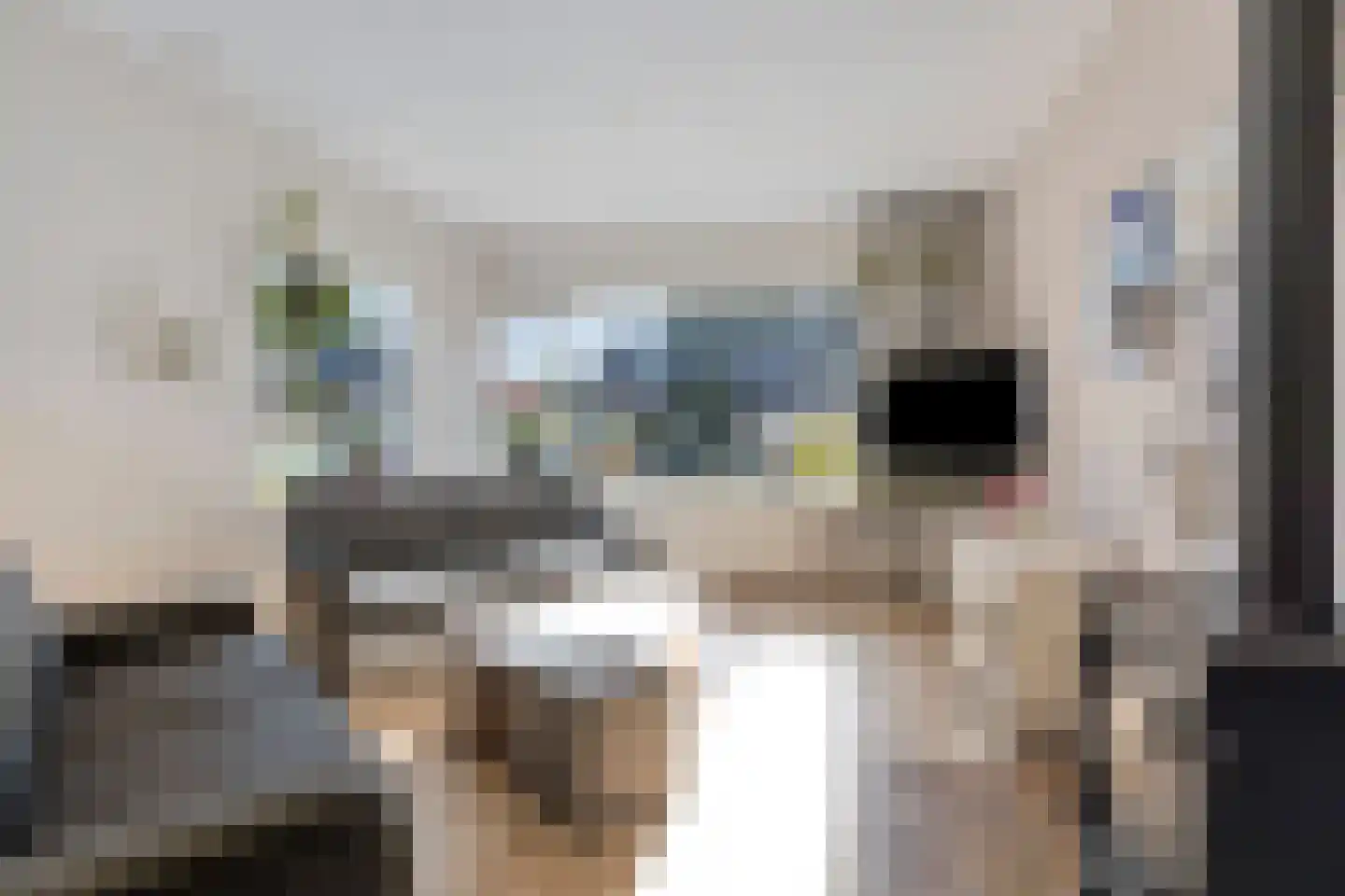 Lijnakker 34 Oosterwolde thumbnail 9
