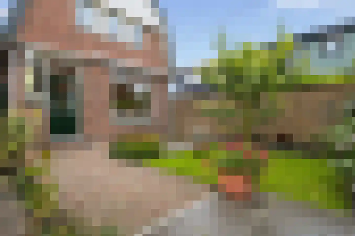 Lijnbaan 1 Krommenie thumbnail 13