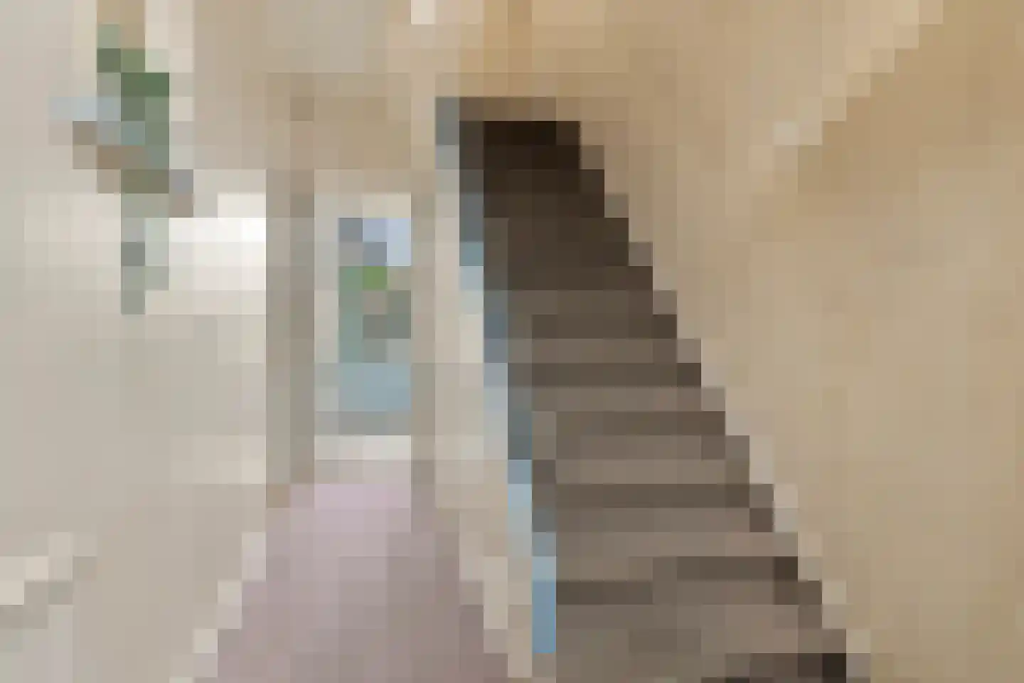 Lijnbaan 1 Krommenie thumbnail 18