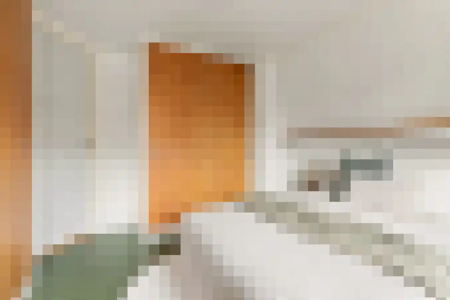 Lijnbaan 1 Krommenie thumbnail 25