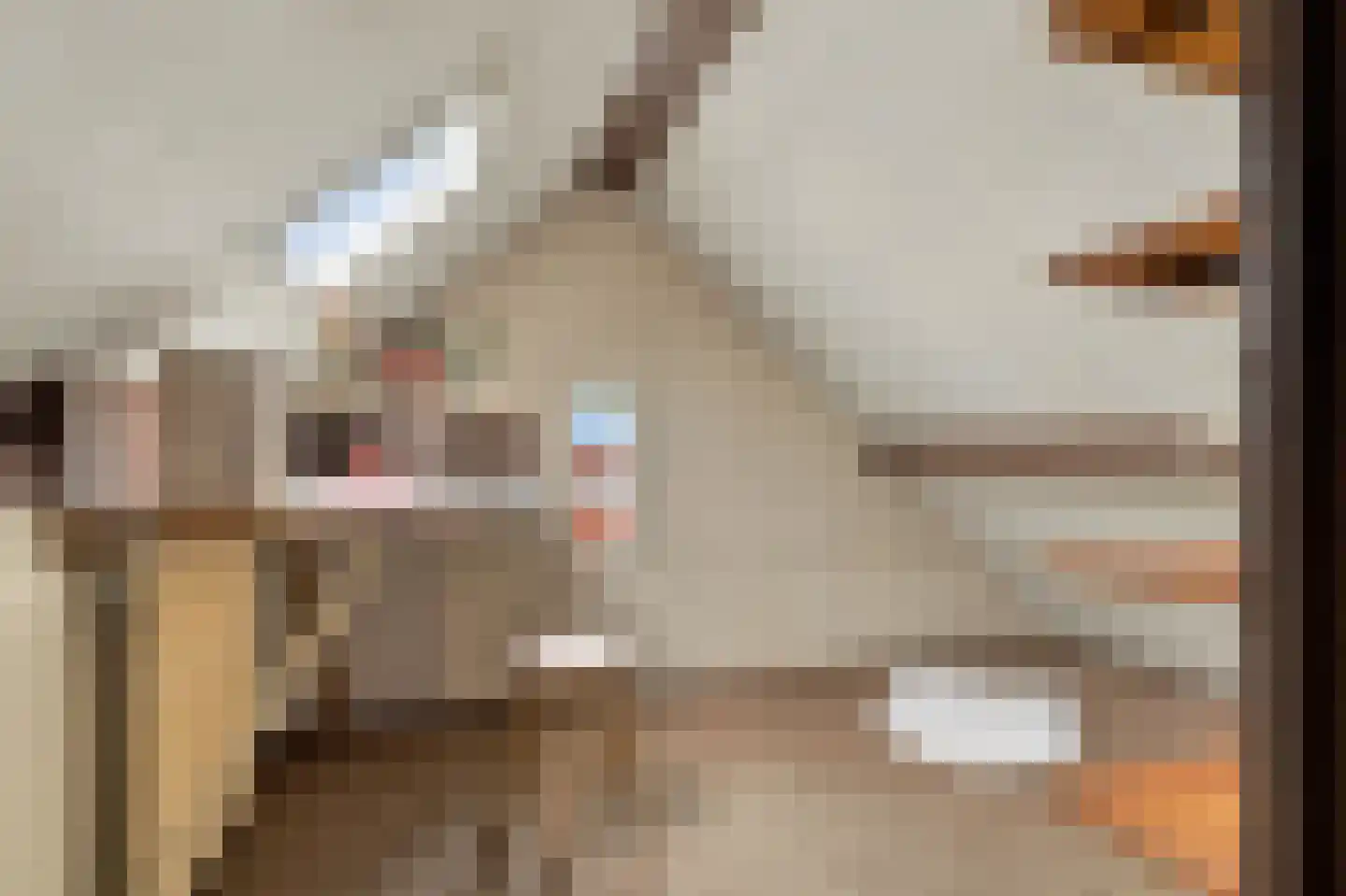 Lijnbaan 1 Krommenie thumbnail 30