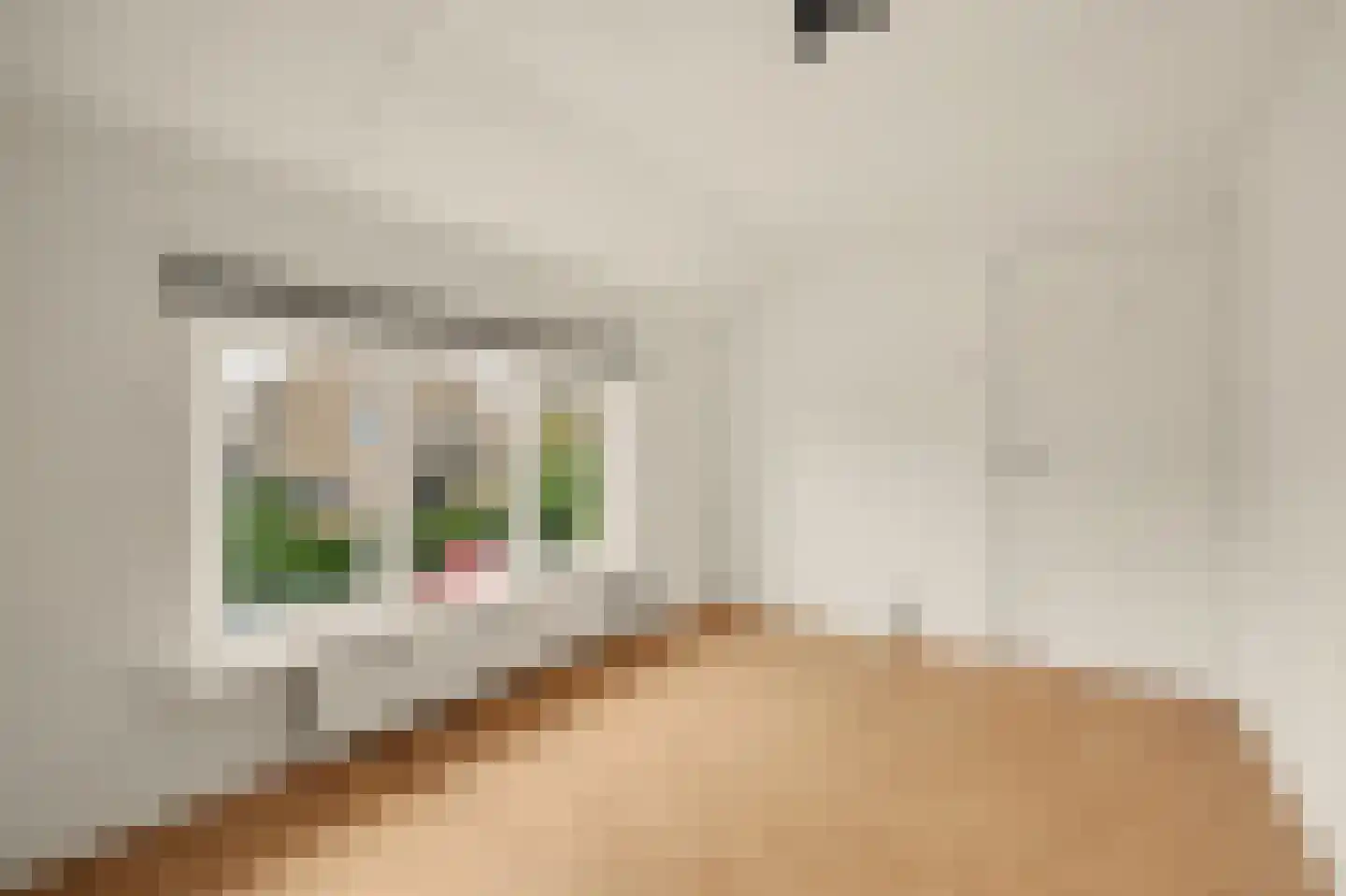 Lijnbaan 1 Kruiningen thumbnail 25
