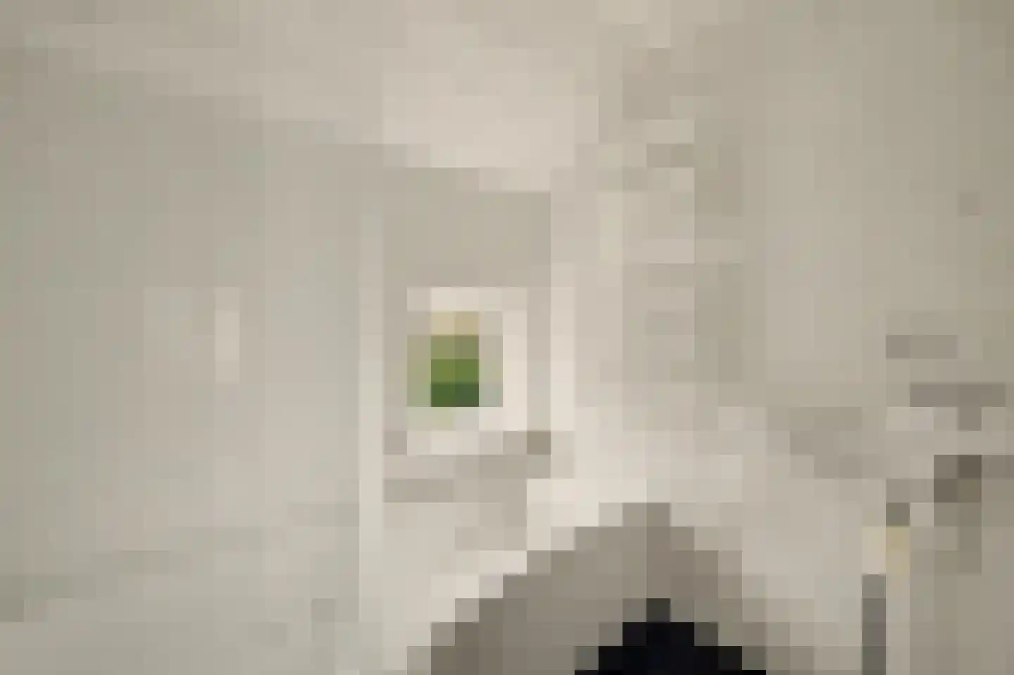 Lijnbaan 1 Kruiningen thumbnail 26