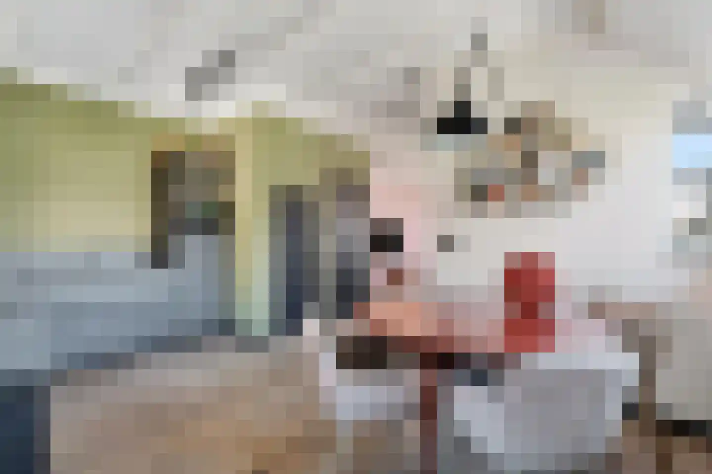 Lijnbaan 100 Lemmer thumbnail 14