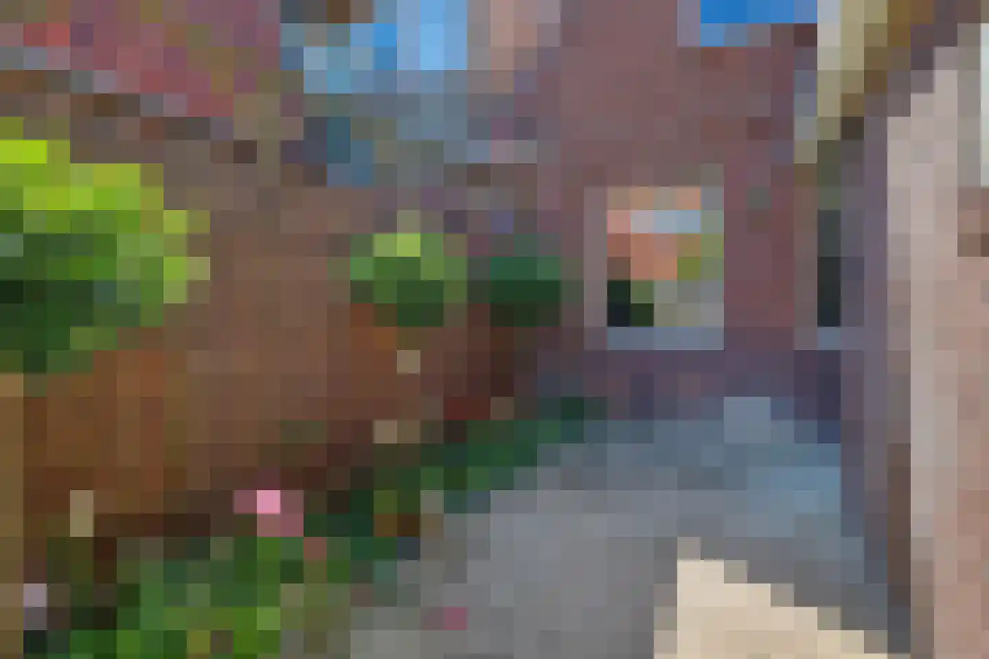 Lijnbaan 100 Lemmer thumbnail 32