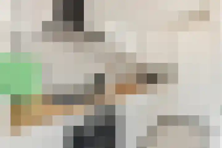 Lijnbaan 102 Den Haag thumbnail 10