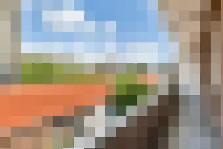 Lijnbaan 102 Den Haag thumbnail 19