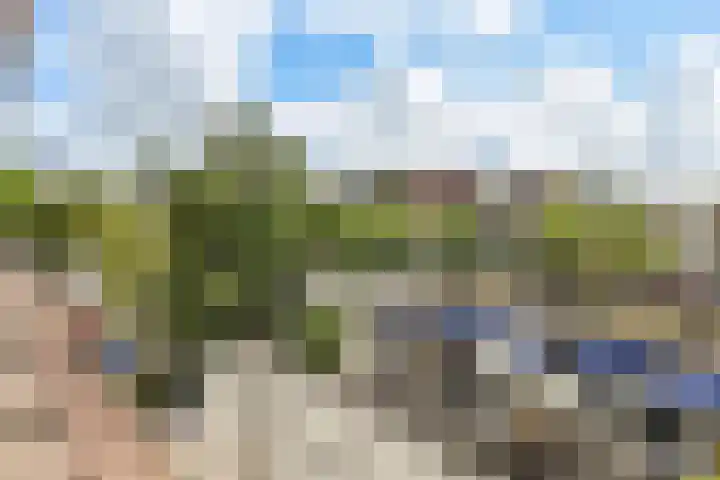 Lijnbaan 102 Den Haag thumbnail 24