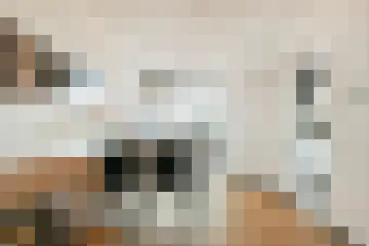 Lijnbaan 102 Den Haag thumbnail 8