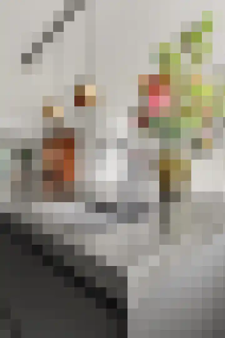 Lijnbaan 11 Kortgene thumbnail 14